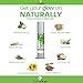 Face Cream Moisturizer, Anti Aging Ingredients for Women & Men, Light Face Cream with Natural and Organic Ingredients for Wrinkles and Aging, Best for Travel, Day and Night