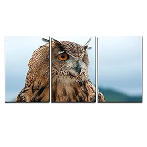3 Piece Canvas Wall Art - Eurasian Eagle Owl - Modern Home Art Stretched and Framed Ready to Hang - 16"x24"x3 Panels