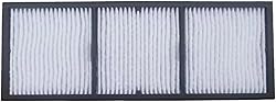 Cntuohai Replacement ELPAF62/V13H134AB0 Air Filter