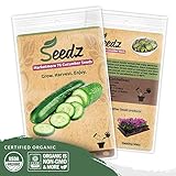 Organic Cucumber Seeds (APPR. 75) Cucumber Planting Seeds - Heirloom Vegetable Seeds - Certified Organic, Non-GMO, Non Hybrid - USA
