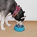 SUPERDESIGN Slow Feeder Dog Bowl Cat Bowl 1/2 Cup Slow Feeding Dog Bowl for Small Medium Breed Anti Gulping Healthy Eating Interactive Bloat Stop Fun Alternative Non Slip Puzzle Dog Food Bowl, Blue