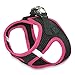 Voyager Step-In Air Dog Harness - All Weather Mesh Step in Vest Harness for Small and Medium Dogs by Best Pet Supplies - Pink, Medium