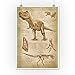 Tyrannosaurus Rex Dinosaur, Da Vinci Style (12x18 Art Print, Wall Decor Travel Poster)