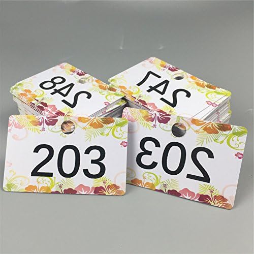 Sarira C Credit Size LIve Sale Number Cards LIve Sale Plastic Tags for Facebook Live Sale and Lularoe Supplies (201-300))