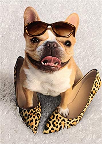 leopard frenchie