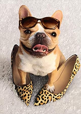 french bulldog shoes for dogs