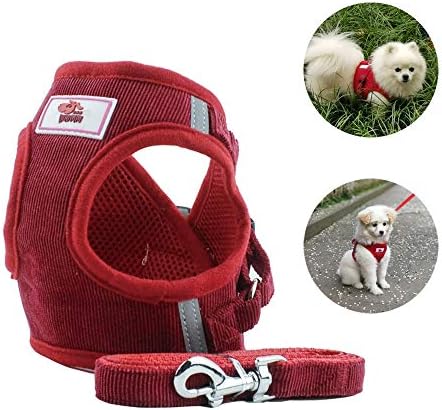 Anlitent Safety Adjustable No Pull Dog Harness and Lead Set for Walking Running Hiking, Best Easy Fit Dog Vest Harnesses for Dingo/Dechshund/Dalmatian (Large, Corduroy-Red)