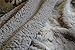 Tache 63 X 90 Inch Striped Grey Snow Giraffe Super Soft Warm Embossed Faux Fur with Sherpa Back Throw Blanket Twin Size