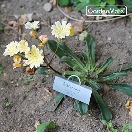 3 GardenMate+25+Pack+Metal+Plant+Label