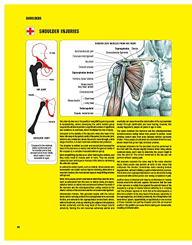 Strength Training Anatomy, 3rd Edition - Image 5