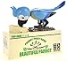 PowerTRC Parrot Coin Bank for Kids, Cute Money Bank for Boys and Girls, Savings Piggy Bank | Fun Gift for Kids and Adults