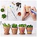 Nilos Terracotta Pot-72 Pcs 2inch Mini Clay Pots,Ceramic Pottery Planter Cactus Flower Pots Succulent Pot for Plants, Wedding, Craft