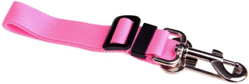 pet belt shop near me