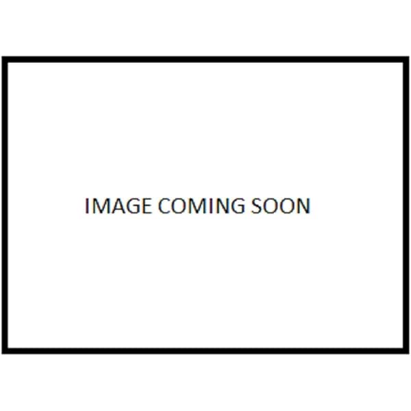 dentley's stuffed bone