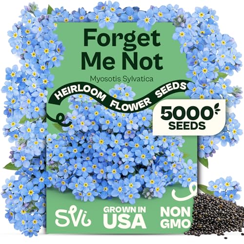 SVI 5000 Forget Me Not Seeds