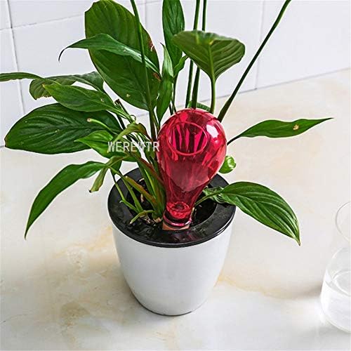 WEREWTR Automatic Sprinkler House Plants Flowers Automatic Self Watering Devices PP Ceramics Water Feeder Bulb Shape,Faucet Without Pipe