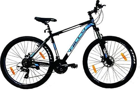 sky bike technology inc