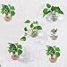 Orimina Pack of 6 Glass Planters Wall Hanging Planters Round Glass Plant Pots Hanging Air Plant Pots Flower Vase Air Plant Terrariums Wall Hanging Plant Container, 12 cm Diameter &iexcl;&shy;