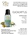 Eucalyptus Oil by Ovvio Oils | Premium Therapeutic Grade | 100% Pure Aromatherapy | Large 15ml