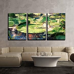 3 Piece Canvas Wall Art - Beautiful Painting Showing Lotus Leaves in Pond - Modern Home Art Stretched and Framed Ready to Hang - 16"x24"x3 Panels