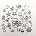 Youdiyla 58 PCS Beach Charms Collection - Mixed Starfish Seashells Conch Sea Horse Octopus Mermaid Dolphin Metal Alloy Pendants (Silver HM72)