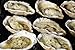 Loftin Oysters Ceramic Reusable Chargrilling, Cooking Oyster Shells, set of 12. Great for all Seafood.