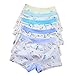 Czofnjesi Boys Breathable Dinosaur Car Cotton Boxer Brief Underwear Sets (Car, 2-4T)