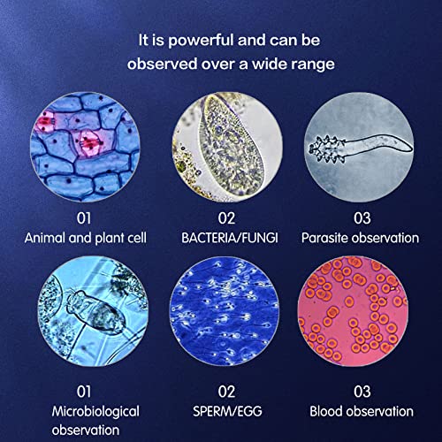 40X5000X Magnification, Compound trinocular Microscope, WF10x and