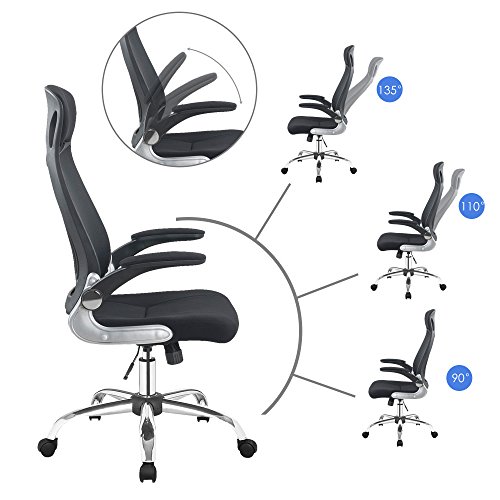 Adjustable High Back Mesh Executive Desk Chair-Model Office Chair With Lumbar Support,Black