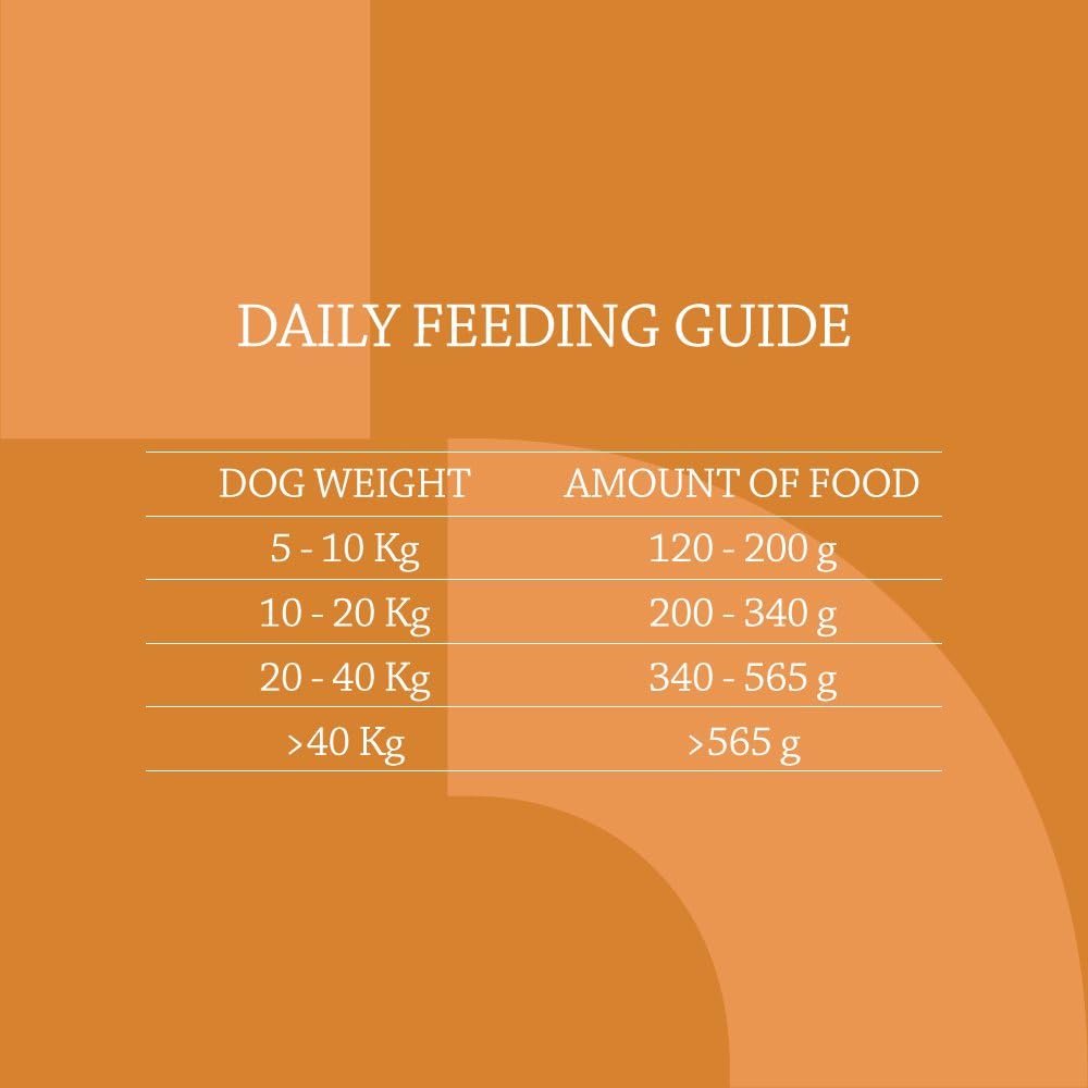 by Amazon - Complete Dry Dog Food for Adult Dogs Rich in Chicken with Peas, 1 Pack of 20kg, 20 kg (Pack of 1) - Image 5