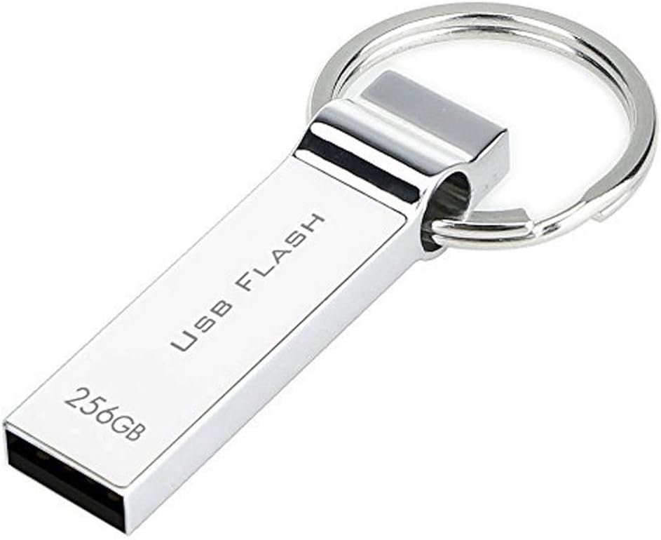 RUICHENXI Waterproof 256GB USB Flash Drive Pen Drive Memory Stick with Keychain (256GB)