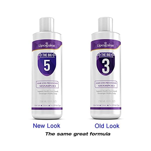 Lipogaine-Hair-Loss-Prevention-Premium-Organic-Shampoo-For-Men-and-Women-Colour-Safe-Infused-With-Biotin-Caffeine-Argan-Oil-Black-Seed-Oil-Castor-oil-and-Saw-Palmetto Lipogaine Hair Loss Prevention Premium Organic Shampoo, For Men and Women - Colour Safe, Infused With Biotin, Caffeine…