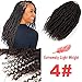 2 Packs Spring Twists Synthetic Crochet Hair Extensions 12 inch 24 strands/pack Ombre Crochet Passion Twist Braids Fiber Fluffy Curly Twist Braiding Hair Bulk (4#)