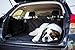 Dog Seat Cover – Pet Seat Cover for Protecting your Rear Car Seat and Keeping your Dog or Cat Comfortable on Back Seat Car - SUV - Jeep – WaterProof Hammock for Rear Bench