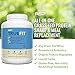 RSP TrueFit (4LB) – Grass Fed Lean Meal Replacement Protein Shake, All Natural Whey Protein Powder with Fiber & Probiotics, Non-GMO, Gluten-Free & No Artificial Sweeteners,Vanilla (Packaging May Vary)thumb 3
