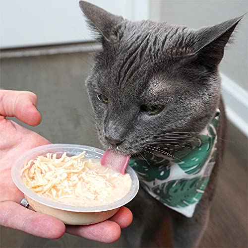 Tiki Cat Wet Food Complements Hydrating Grain Free Meal Toppers