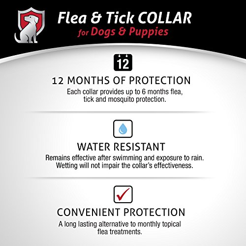 Direct Protect Plus Flea & Tick Collars for Dogs & Puppies - Thumbnail 5
