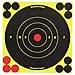 Birchwood Casey Shoot-N-C 6-Inch Bull's-Eye Target, 12 Targets