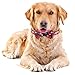 KUDES 2 Pack/Set Christmas Snowflake Dog Collars Breakaway with Bow Tie and Bells for Cat and Small/Medium/Large Pets, Red & Green (M(11.8”-17.8”), Red+Green 2)thumb 2