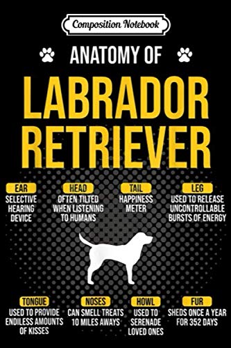 Composition Notebook: Anatomy Of Labrador Retriever Funny Dog Lover Gift Journal/Notebook Blank Lined Ruled 6x9 100 Pages