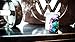 Bundle of Cherry Casino and Memento Mori Playing Cards Trick with Bonus Floating Match On Card Trick