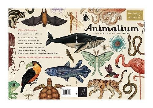 D0wnl0ad Animalium (Welcome To The Museum)<br />[P.D.F]