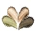 Palladio Eyeshadow Quad, Green To Go
