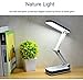 LED Desk Lamp, Maxnor USB and Battery Powered Desk Light, Clip Reading Light for Studying and Working, 3-Level Dimmer and Adjustable Gooseneck, Easy Carrying