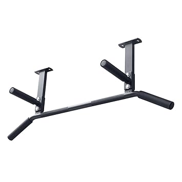 Ceiling Joist Mount Chin Up Rafter Mounted Pull Up For P90x W