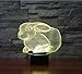 FIDDY898 Animal 3D Illusion Night Light 7 Colors Changing with Acrylic Flat & ABS Base & USB Charger Bunny