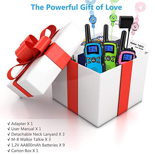 6 Wishouse+Rechargeable+Talkies+Talkabout+Birthday