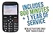 Alcatel Big Easy Plus Prepaid Phone with 800 Minutes and One Year of Tracfone Service + Double Minutes (Phone + 800 Minutes + 1 Year of Tracfone Service + Double Minutes)