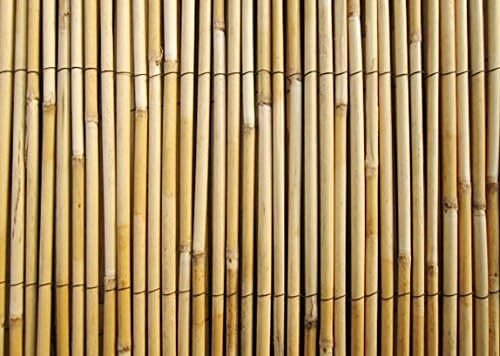Reed Fence (2'H x 14'W)