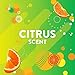 Scrubbing Bubbles Antibacterial Bathroom Flushable Wipes, Citrus Action, 28 count